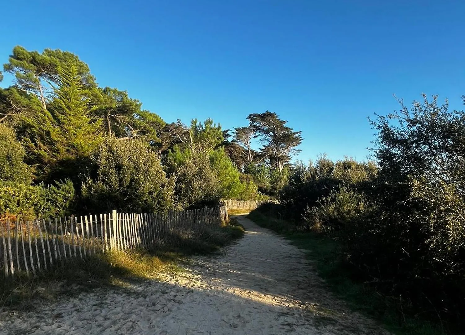 450M De La Plage, Grande Maison Pour 10 Saint-Philibert  Holiday home